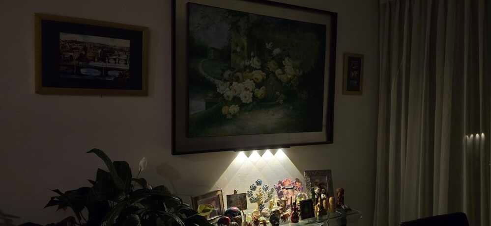 <em>Daniela Cardona </em>